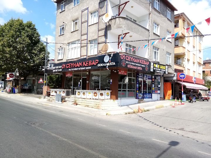 Fotoğraf 16