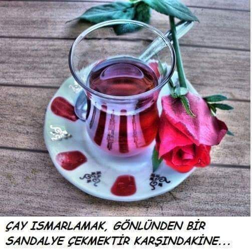 Fotoğraf 16