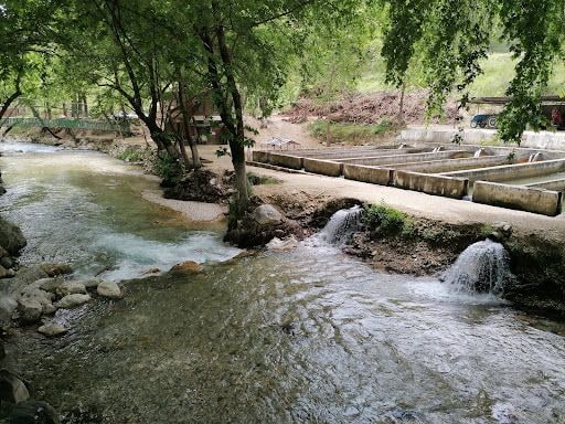 Yorum fotoğrafı 10