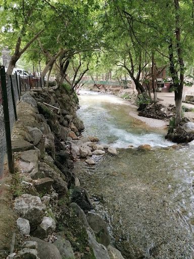 Yorum fotoğrafı 9