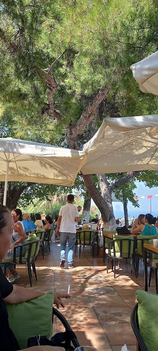 Fotoğraf 52