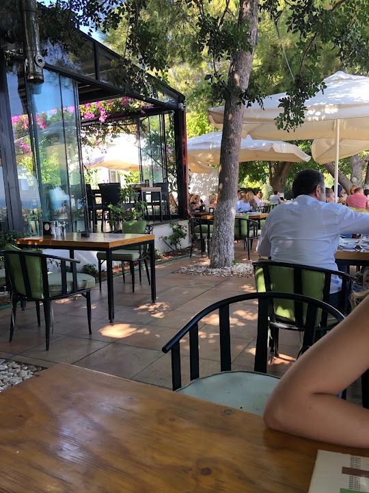 Yorum fotoğrafı 4