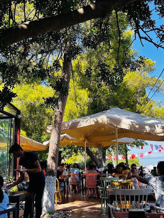 Fotoğraf 16
