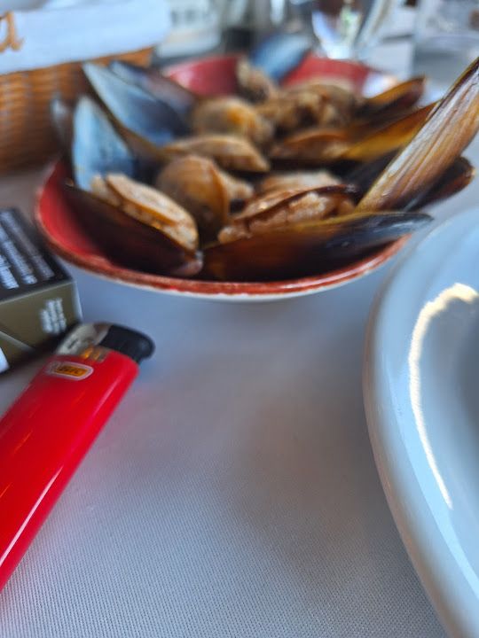 Fotoğraf 47