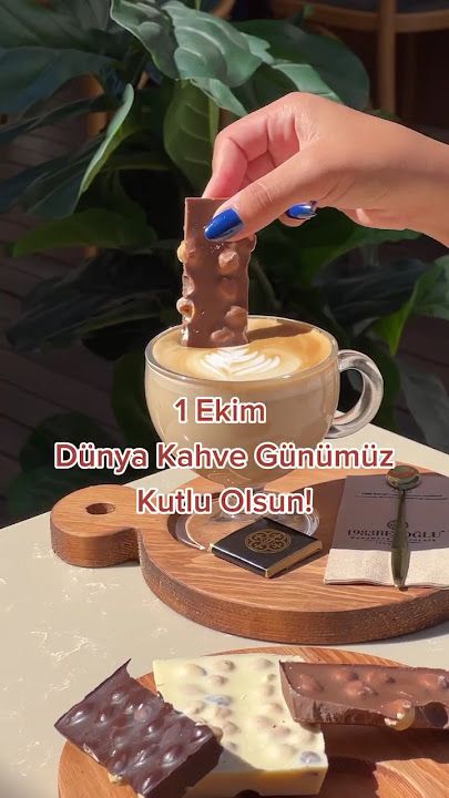 Fotoğraf 15