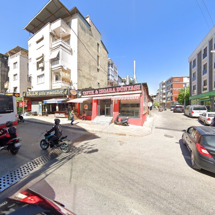 Fotoğraf 7