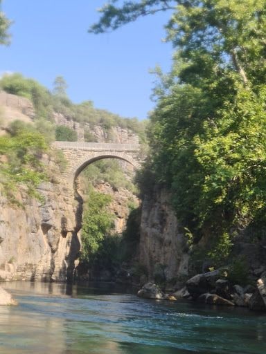 Fotoğraf 42