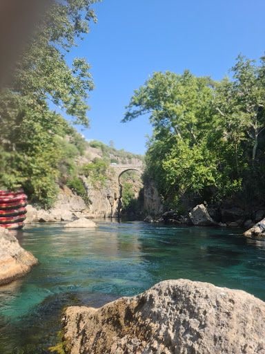 Fotoğraf 43