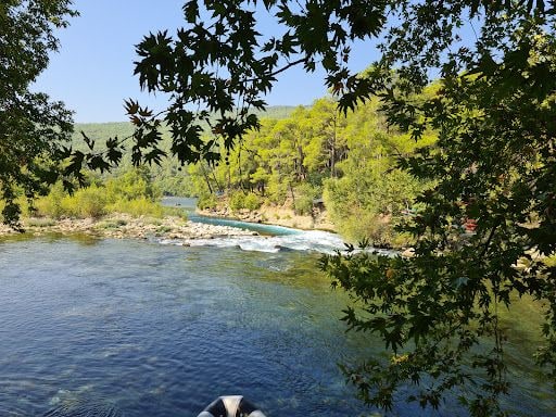 Fotoğraf 44