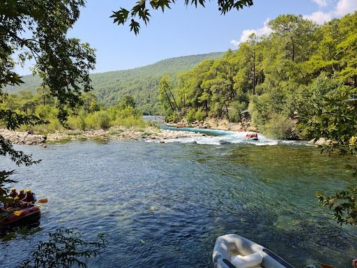 Fotoğraf 45
