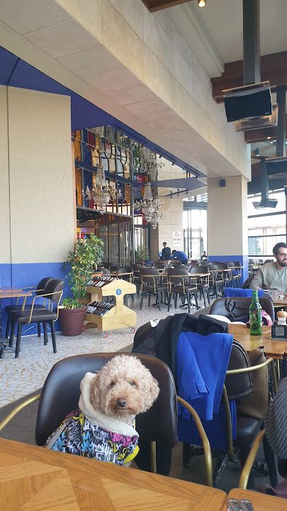 Yorum fotoğrafı 3