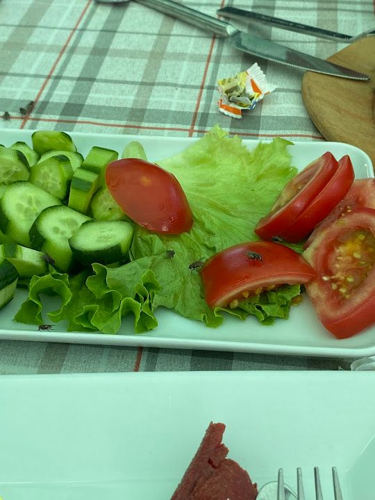 Fotoğraf 20