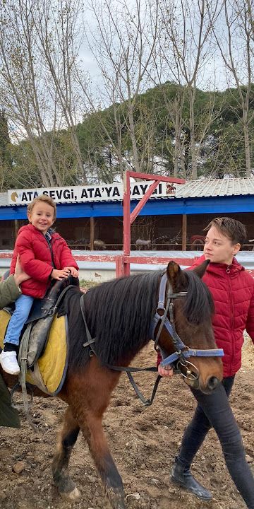 Yorum fotoğrafı 2