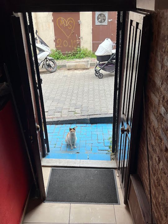 Yorum fotoğrafı 3