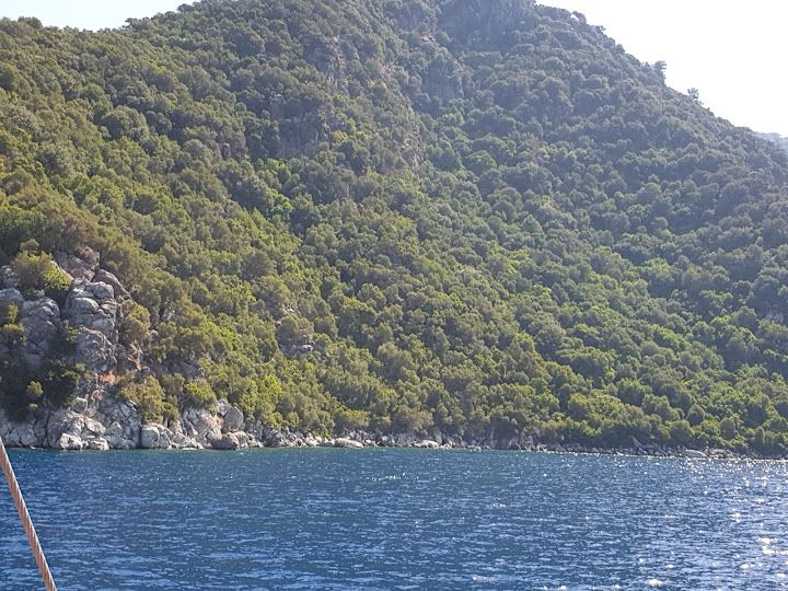 Yorum fotoğrafı 4