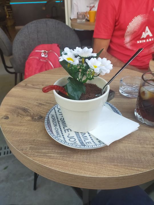 Fotoğraf 15