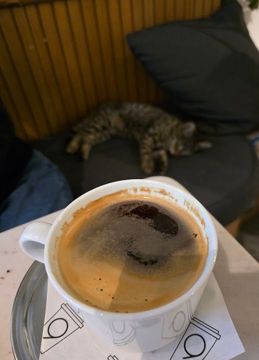 Fotoğraf 24