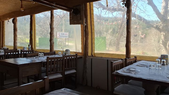 Fotoğraf 19