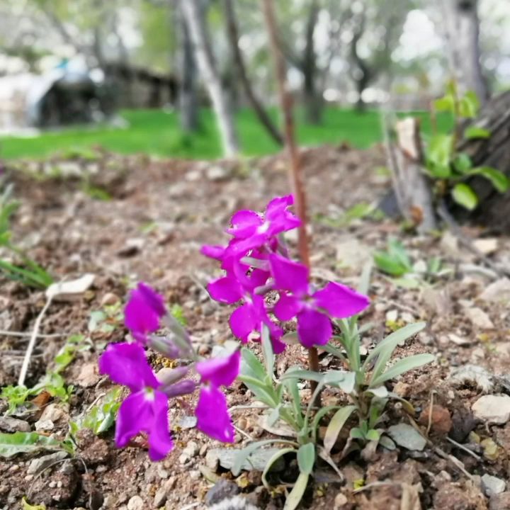 Fotoğraf 21