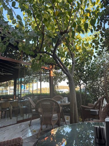 Fotoğraf 25