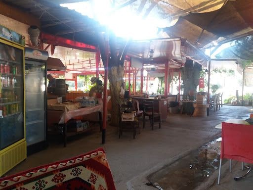 Fotoğraf 28