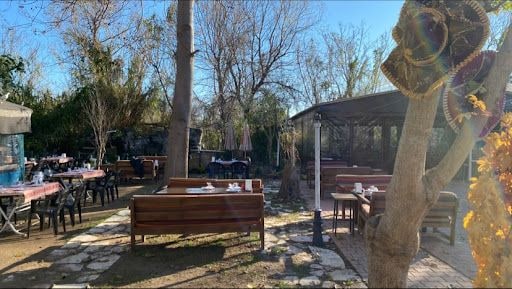 Fotoğraf 22