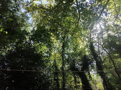 Fotoğraf 13