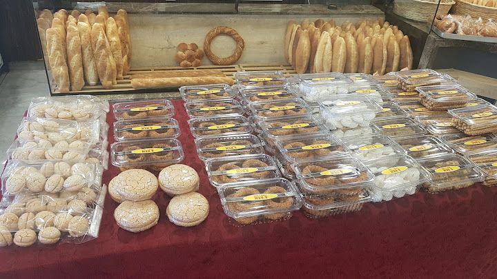 Fotoğraf 16