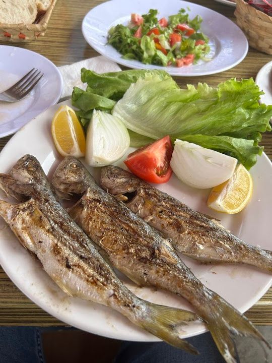 Mürvet Abla Nin Yeri