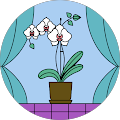Abbas imanov