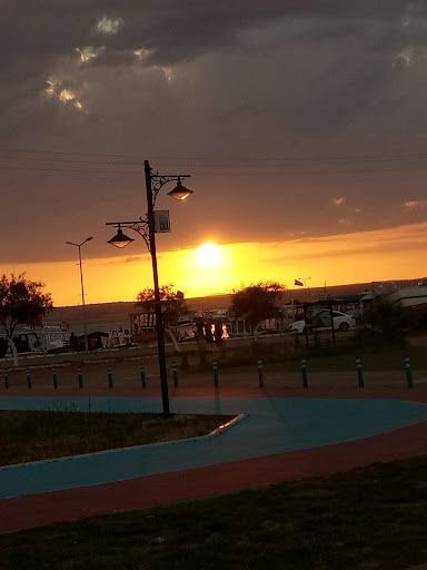 Fotoğraf 12