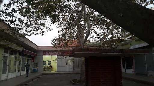 Yorum fotoğrafı 4