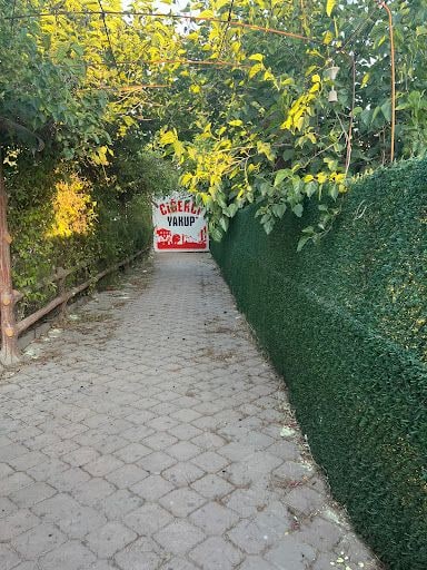 Yorum fotoğrafı 6