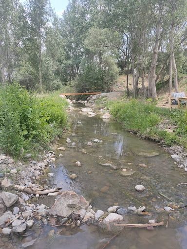 Yorum fotoğrafı 3