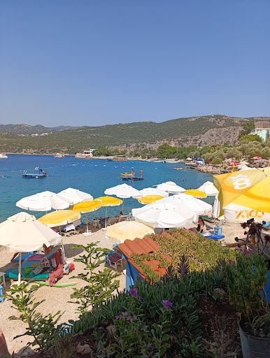 Yorum fotoğrafı 5