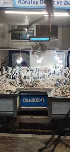 Yorum fotoğrafı 4