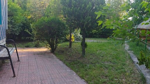 Fotoğraf 21