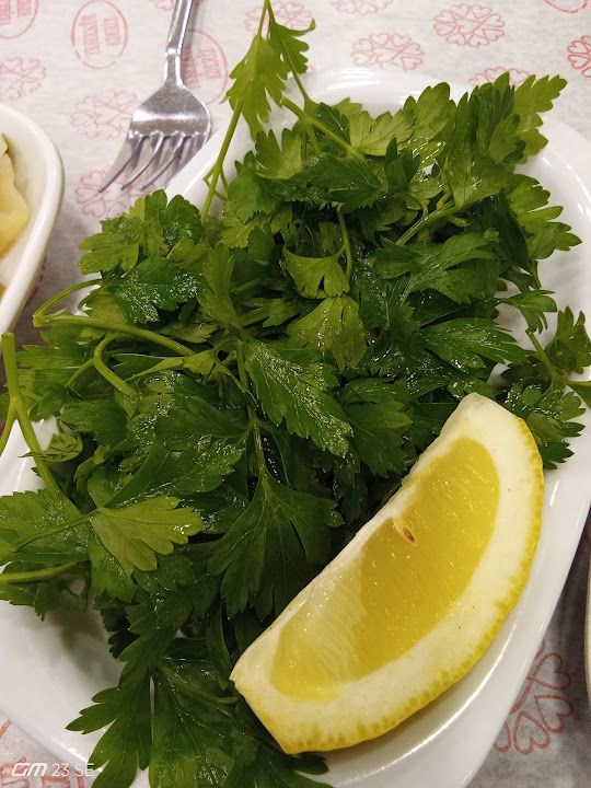 Yorum fotoğrafı 4