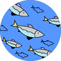 abuzer