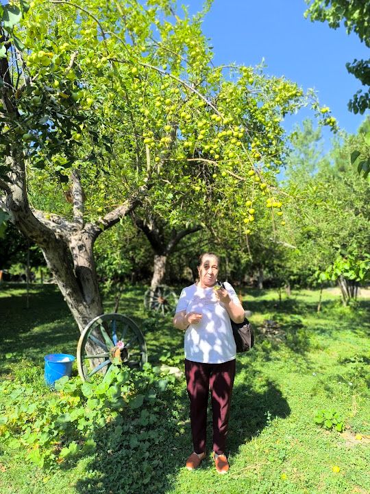 Yorum fotoğrafı 2