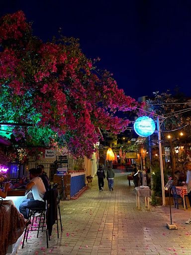 Yorum fotoğrafı 4
