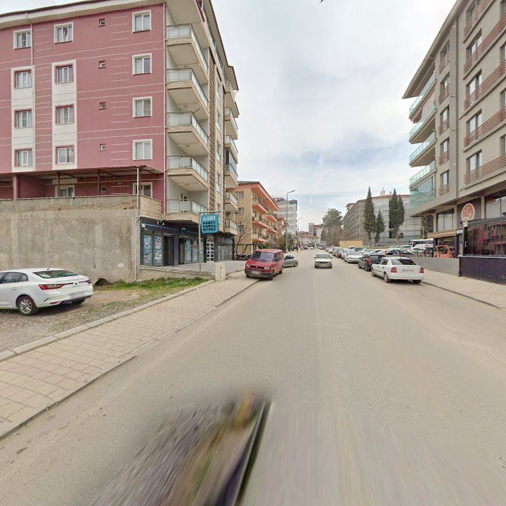 Fotoğraf 8