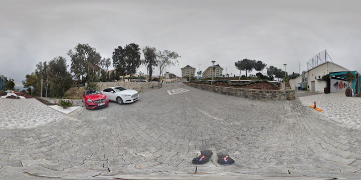 Fotoğraf 31