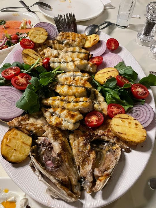 Fotoğraf 30
