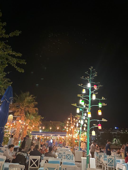 Fotoğraf 33