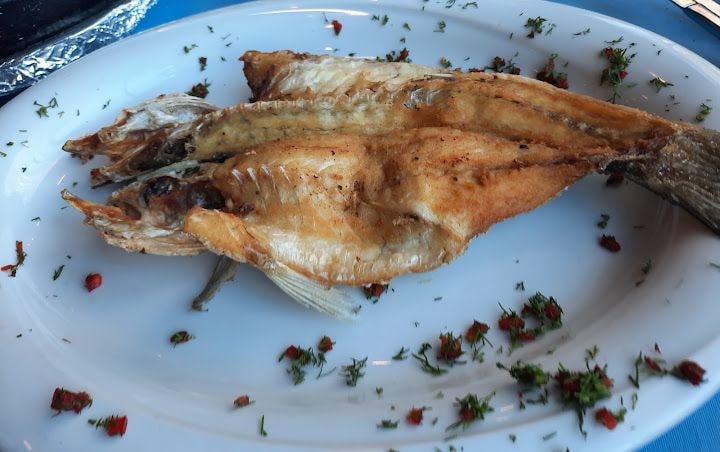 Fotoğraf 13