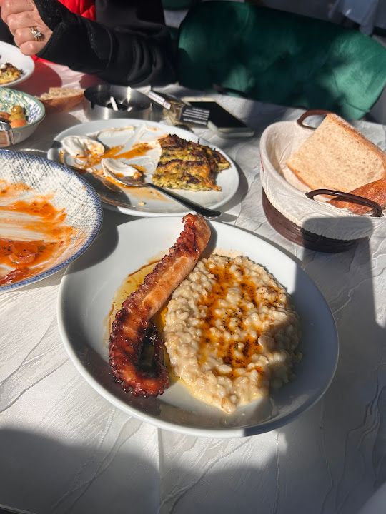 Fotoğraf 29
