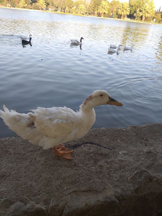 Fotoğraf 20