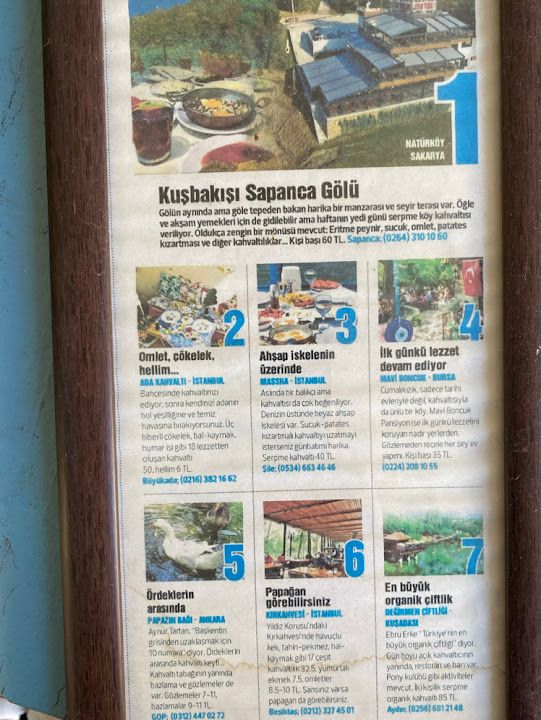 Fotoğraf 31