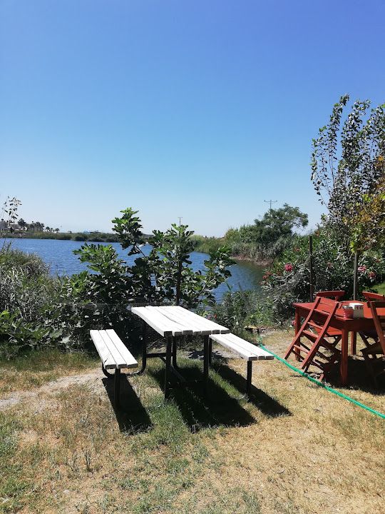 Yorum fotoğrafı 4